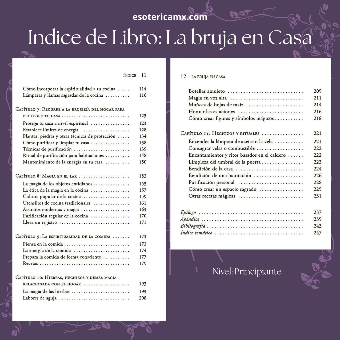Kit bruja Verde principiante