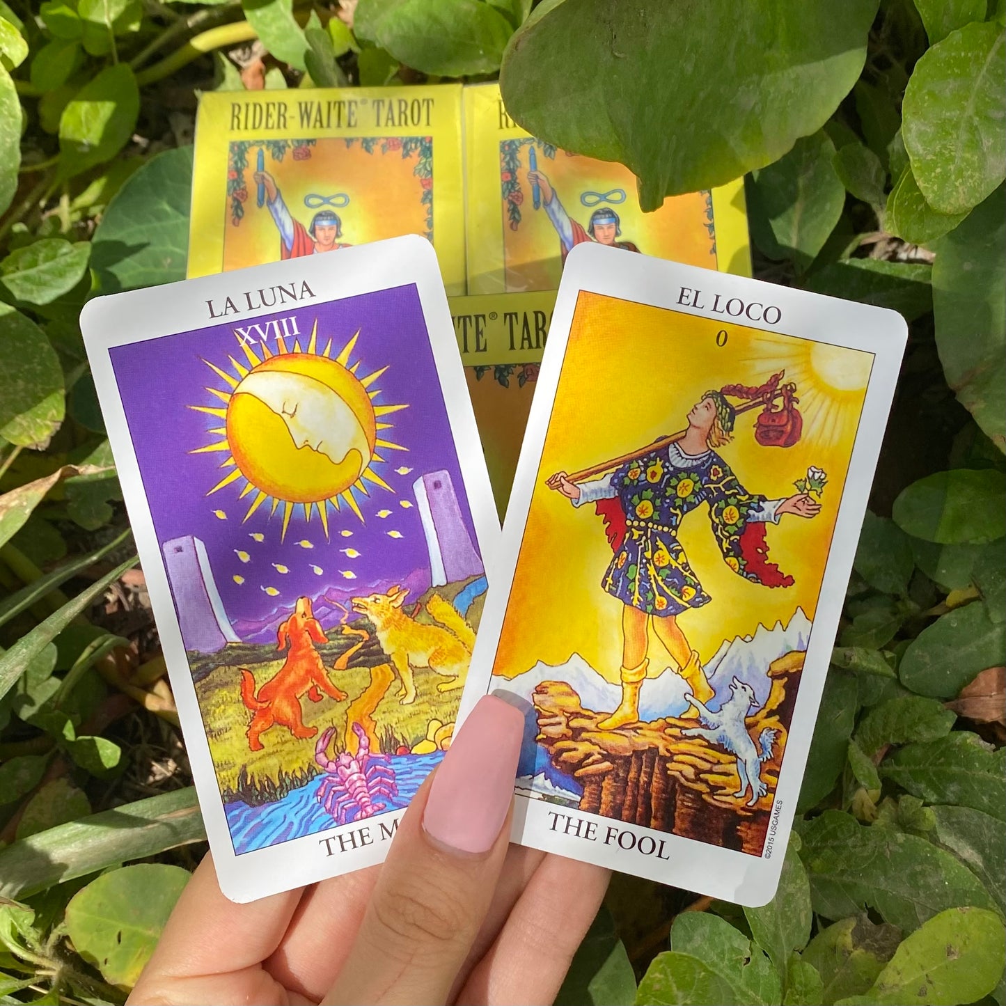 Nuevo Set de Tarot Morado