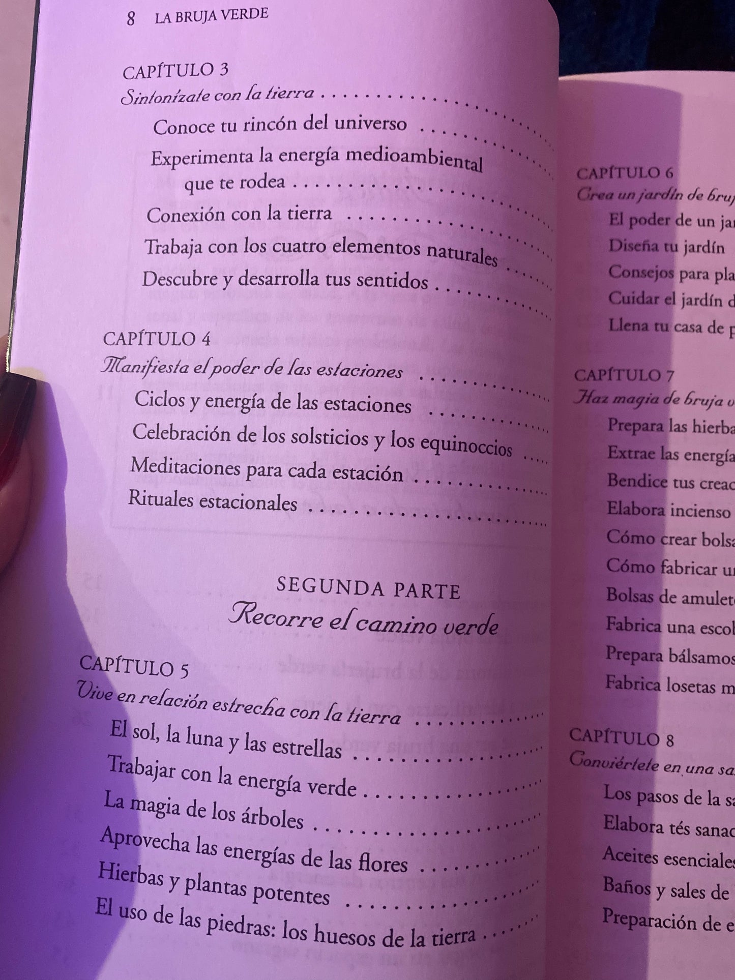 Libro la Bruja Verde