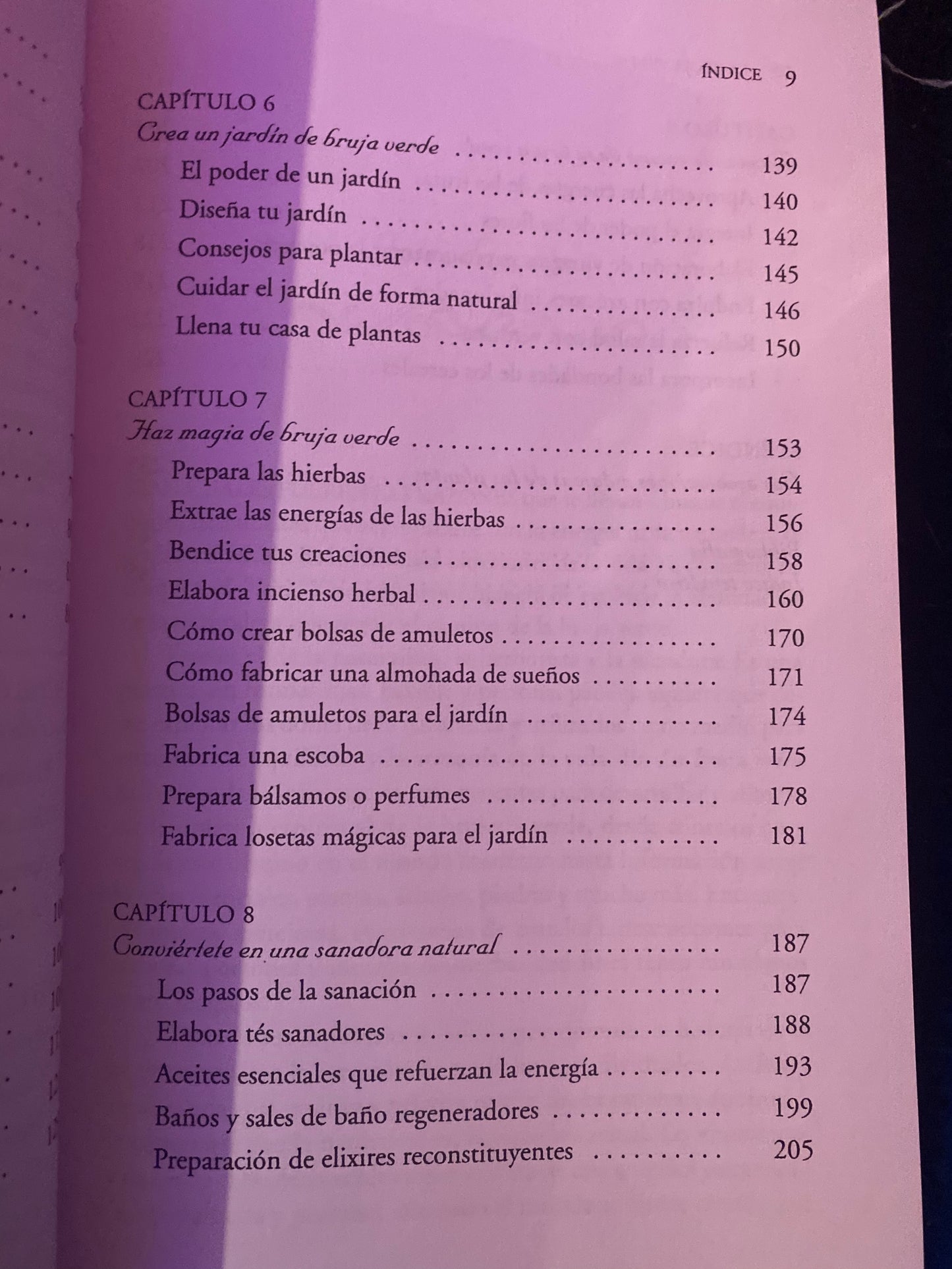 Libro la Bruja Verde