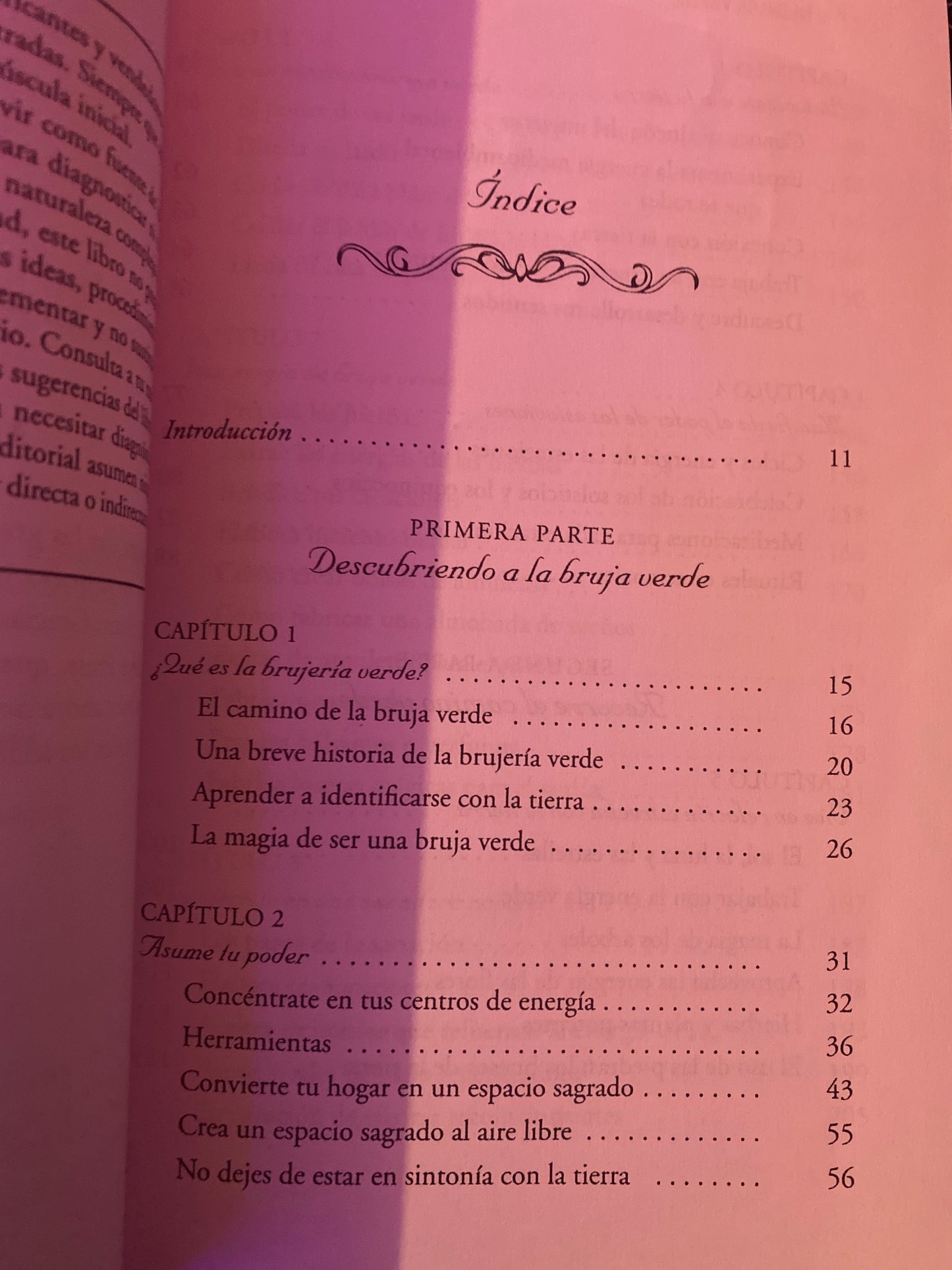 Libro la Bruja Verde