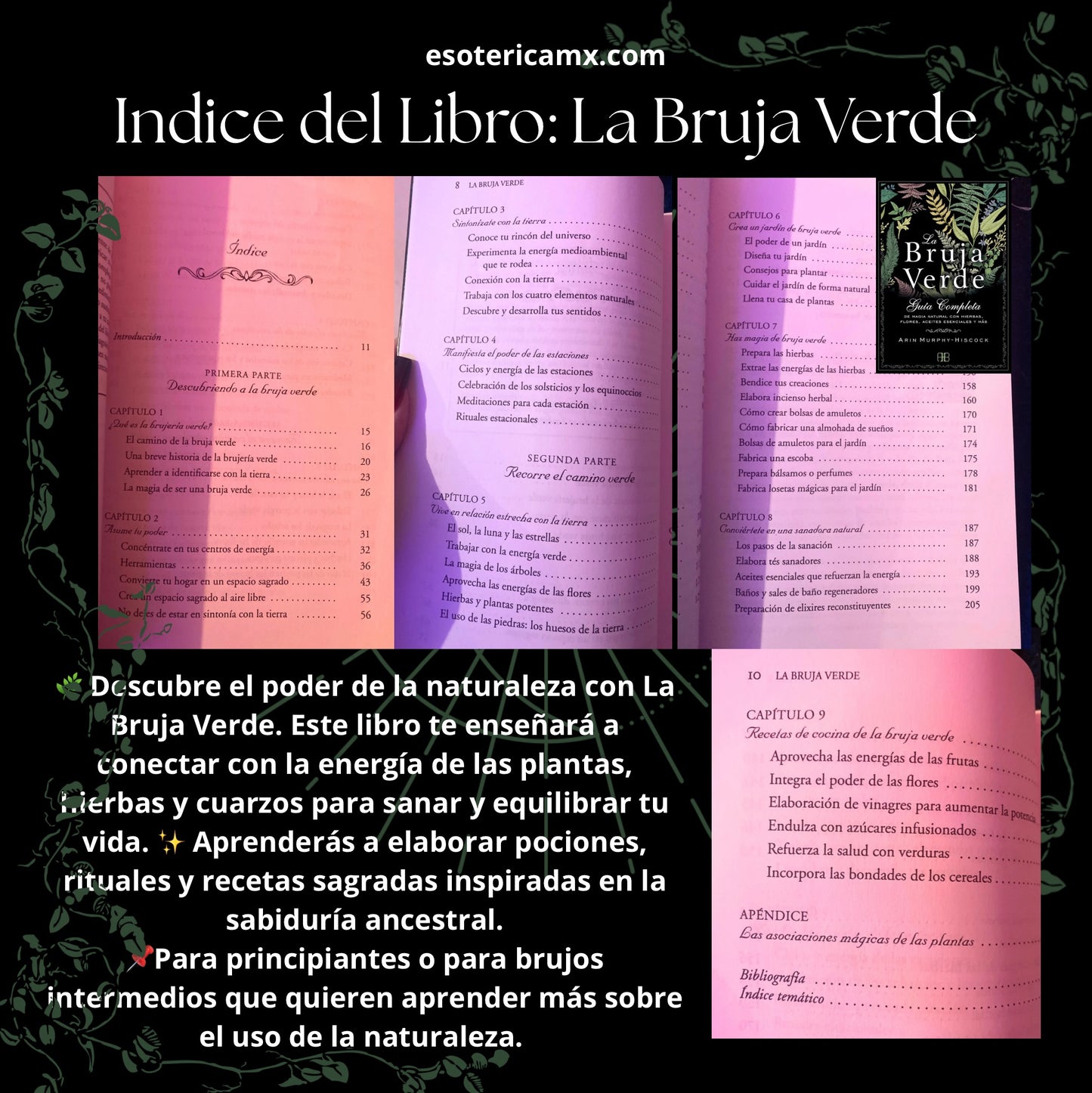 Libros